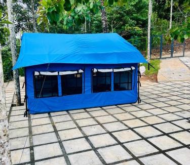 Mananthavady Villa | Rain view wayanad