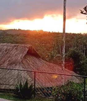 Mananthavady Villa | Rain view wayanad