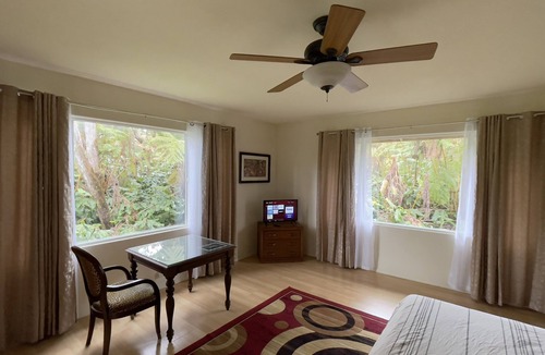 Volcano Bed & Breakfast | Rainforest Room