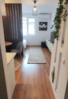Hunedoara Apartment | Raluca Studio Central HD
