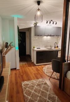 Hunedoara Apartment | Raluca Studio Central HD