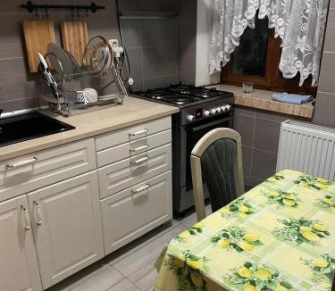 Brasov Villa | Rami Vila Central