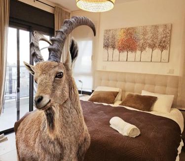 Mitzpe Ramon Apartment | Ramon Garden