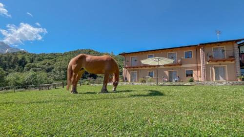Boves Apartment | Ranch Enbrucà