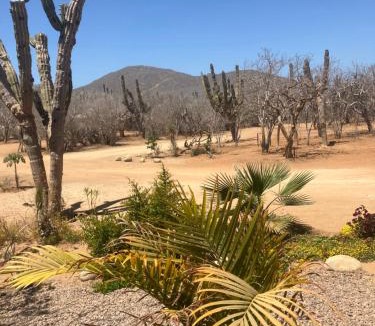 Jimenez Other | Rancho Escondido
