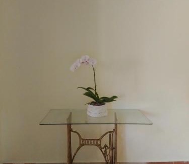 Miches Bed & Breakfast | Rancho La Cueva