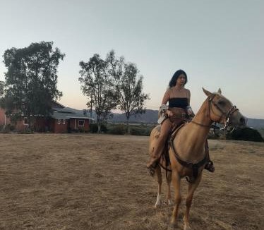 Valle de Guadalupe Cabin | Rancho los Amigos Cabin Lodge