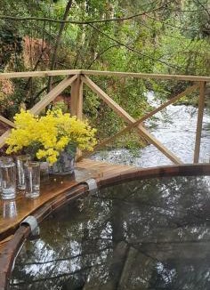 Llifen House | Ranco Lodge