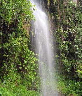 Pangalengan Cabin | Rasamala Camp