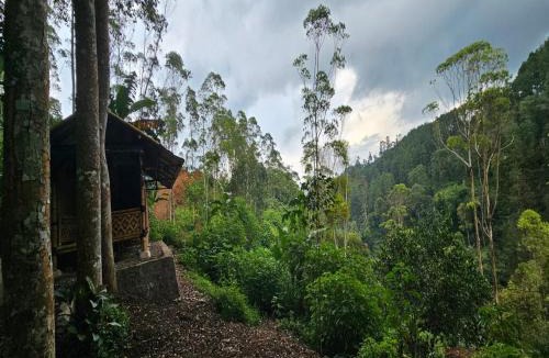 Pangalengan Cabin | Rasamala Camp