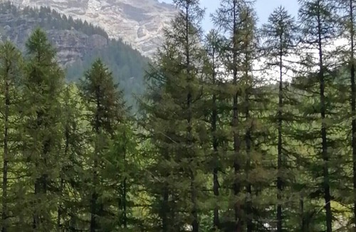 Saint Jacques Cabin | Rascard AltaVia 1682