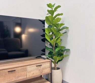 Santolan Apartment | Raya and Zane