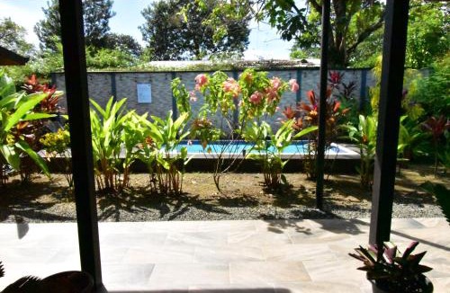 Matapalo Bed & Breakfast | Raya