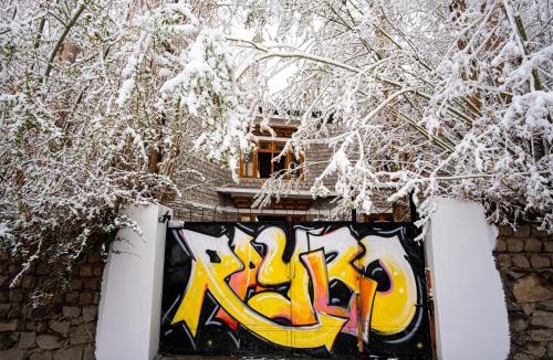 Leh Hostel | Raybo Hostel - Serene stay with 5 mins walk from the main market