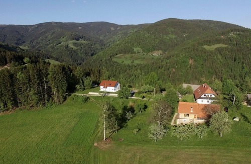 Pohorje Ski Chalet | Razborca apartment