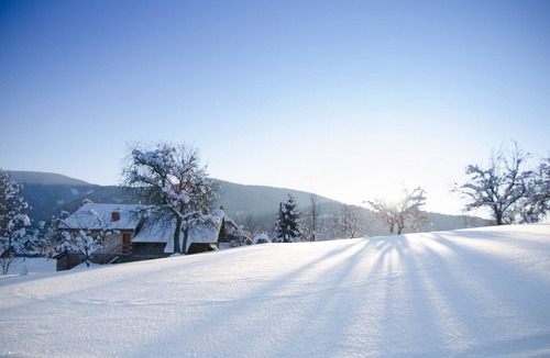 Pohorje Ski Chalet | Razborca apartment