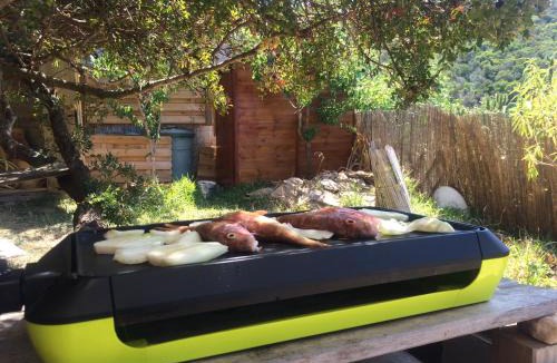 Ile du Levant House | RC d'un Cabanon écologique ile du levant Naturiste reservable du samedi au samedi