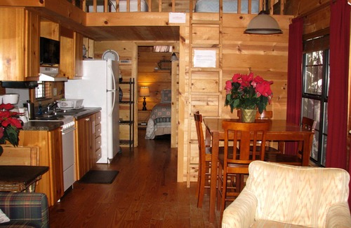 Altamont Cabin | Real Logs-1BR, sleeping loft & futon-sleeps 6. Riverside