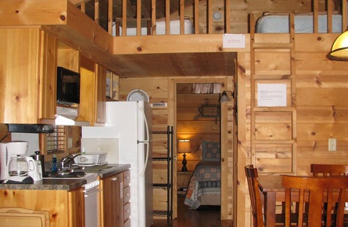 Altamont Cabin | Real Logs-1BR, sleeping loft & futon-sleeps 6. Riverside