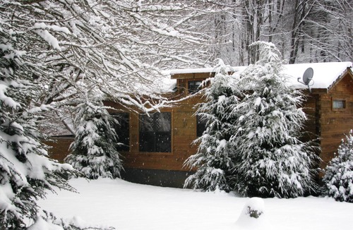 Altamont Cabin | Real Logs-1BR, sleeping loft & futon-sleeps 6. Riverside