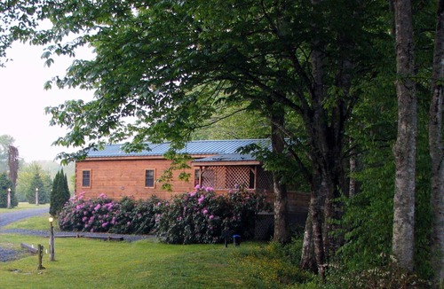 Altamont Cabin | Real Logs-1BR, sleeping loft & futon-sleeps 6. Riverside