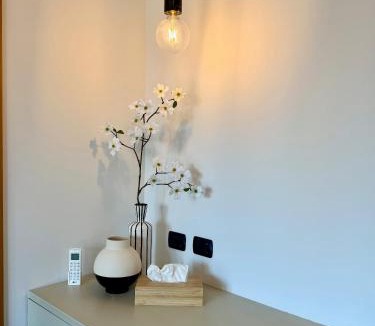 Lodi Apartment | ReBeeApartments - apt 1