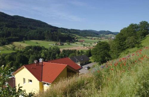 Steinach House | Rebenrain Comfortable holiday residence