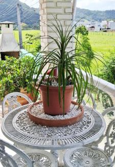 Sao Joao do Rio Vermelho House | RECANTO dos Malabares Casa Grande