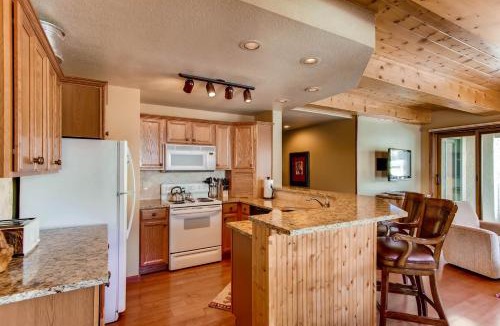 Mount Crested Butte Apartment | Recently Remodeled 2 Br Condo at the Plaza