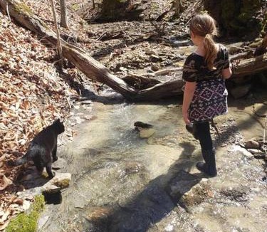 Stanton House | Red River Gorge Creekside, New*Spacious *2 baths!