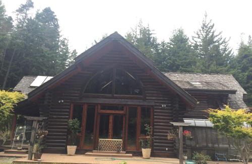 Crescent City House | Redwood forest