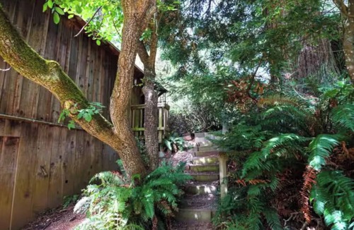 Arcata Apartment | Redwood Hideaway