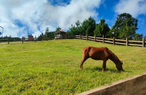 Arakan Bed & Breakfast | Reel Place