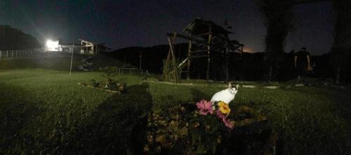 Gravatal House | Refúgio nascer das águas