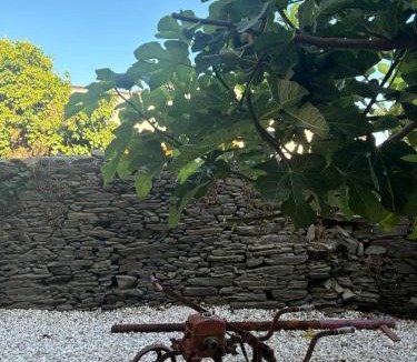 Vila Real Hotel | Refúgio no Douro