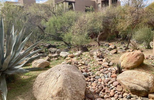 Tucson Condo | Refreshing Desert Oasis: View, Sparkling Pool, Massage Chair, Remote Work Ready