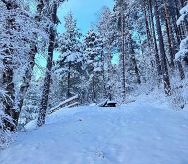 Colmars Ski Chalet | Refuge-style chalet Mountain view