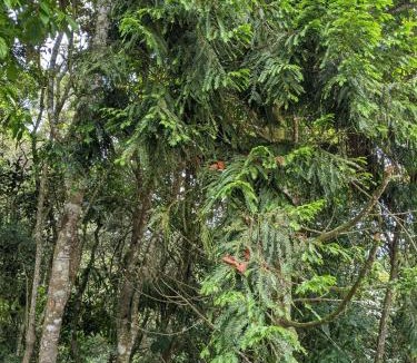 Envigado House | Refugio en el Bosque