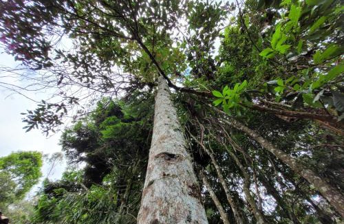 Envigado House | Refugio en el Bosque