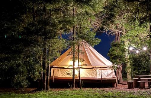 Lobos Other | REFUGIO Natural Glamping