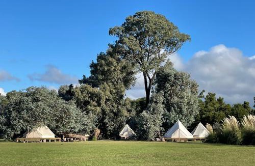 Lobos Other | REFUGIO Natural Glamping