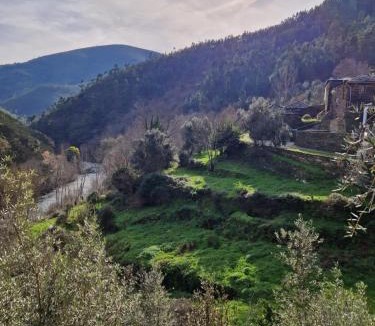 Castro Daire House | Refugio no Paiva