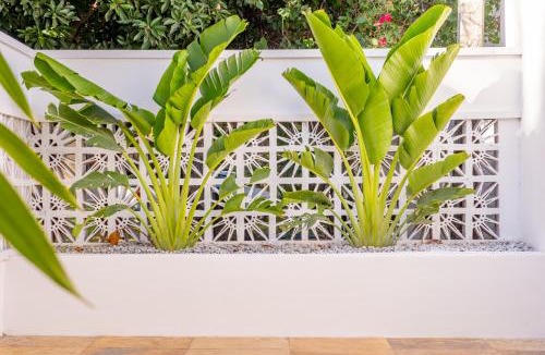 Parajuru House | Refugios Parajuru - Casa Pequena