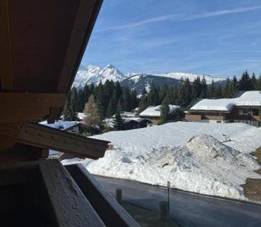 Konigsleiten Apartment | Reichenspitzblick Appartement