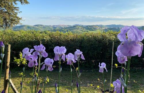 Montelaguardia Bed & Breakfast | Relais Casamassima