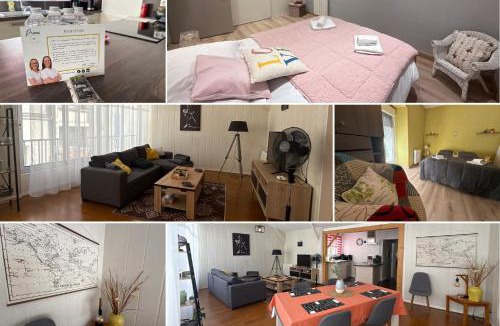 Thouars Apartment | Relais des Arts, très spacieux et lumineux centre ville thouars