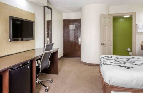 Temple Terrace Hotel | Relax in Comfort Near Busch Gardens, Adventure Island & USF Campus