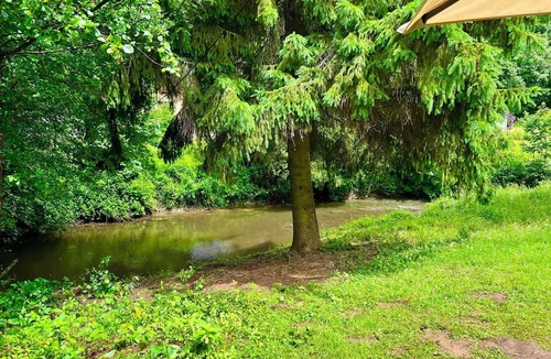 Seffern Apartment | Relaxation in the Eifel - nature, peace and comfort for families, couples and dog lovers