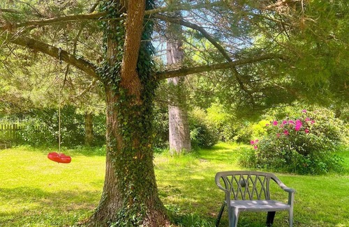 Seffern Apartment | Relaxation in the Eifel - nature, peace and comfort for families, couples and dog lovers