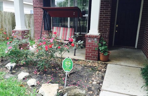 College Park House | Relaxing 4 Bedroom House in the Woodlands, TX